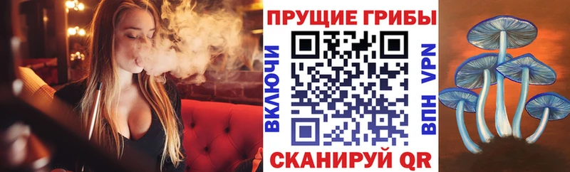 KRAKEN ссылка  Родники  Псилоцибиновые грибы Psilocybine cubensis 