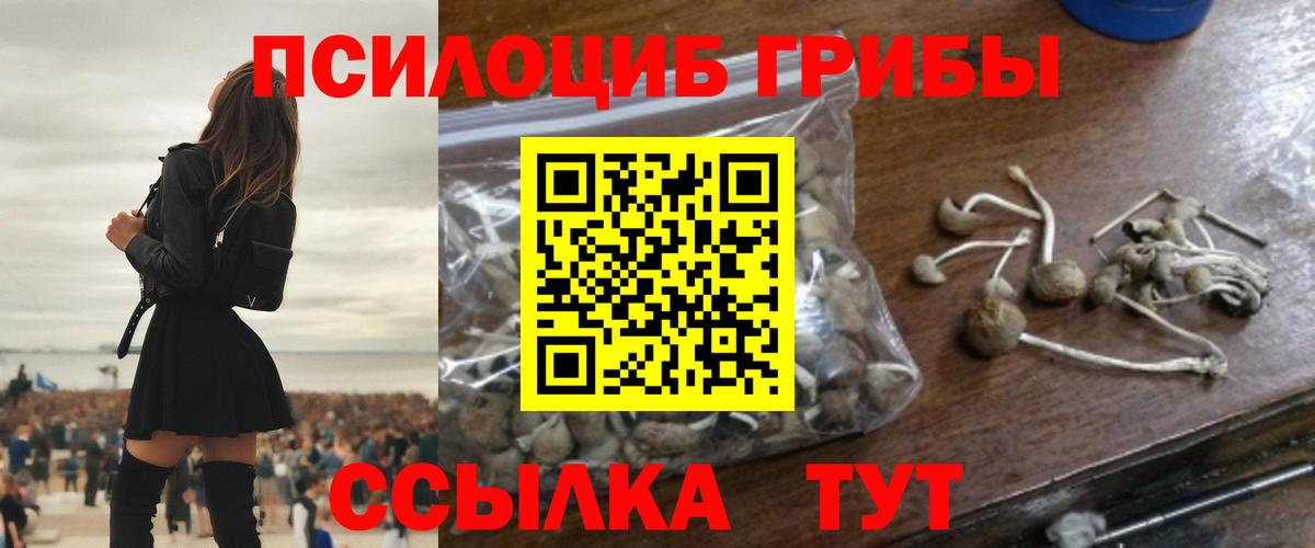 Псилоцибиновые грибы Magic Shrooms  Псилоцибиновые грибы Cubensis  Родники  Вход с VPN 